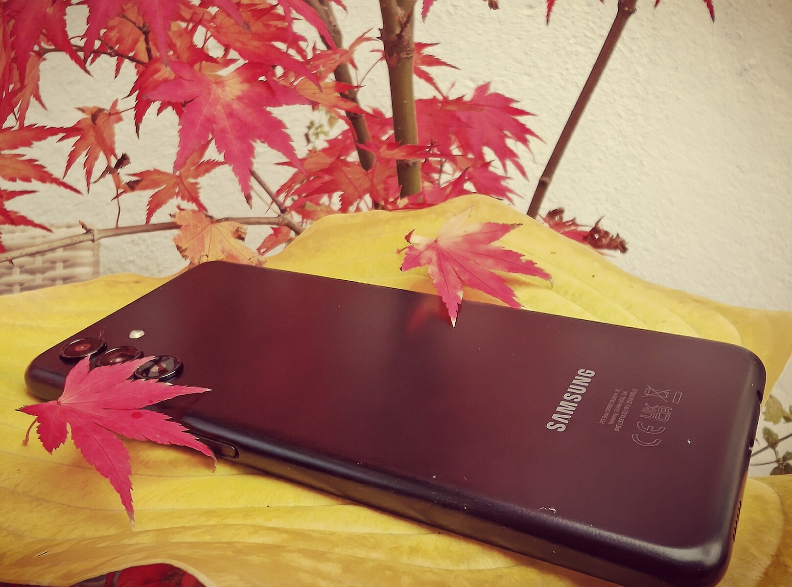Samsung Galaxy A13 5G smartphone review – Modern cellular