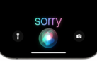 Apple agreed to settle the lawsuit but has not admitted to any wrongdoing.