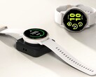 Phelinta's latest Garmin charger has an integrated battery. (Image source: Phelinta)