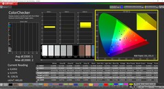 Calman ColorChecker (Profile: P3, Target color space: P3)