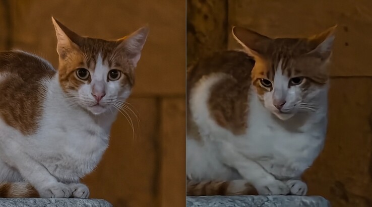 Left: With teleconverter at 200 mm. Right: Without teleconverter.