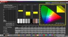 CalMAN ColorChecker (Profile: P3, Color Space: P3)