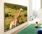 A promo image for the LG QNED84B TV.