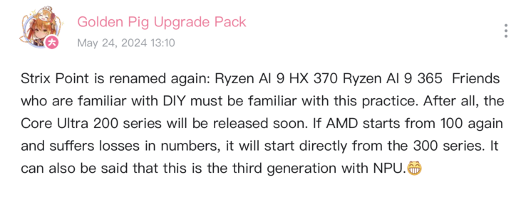 New AMD Strix Point CPU names (image via Bilibili)