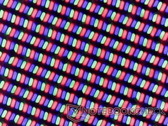 Crisp RGB subpixel array as expected from a glossy panel