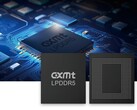 Pictured: CXMT's LPDDR5 chip (Image source: CXMT)