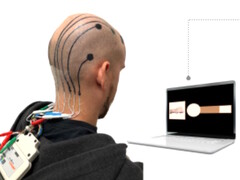 Researchers develop method to 3D print EEG tattoos on heads for remote control of electronic devices. (Image source: Vasconcelos et al. in Cell Biomaterials)