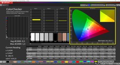 CalMAN ColorChecker (profile: sRGB, target color space: sRGB)