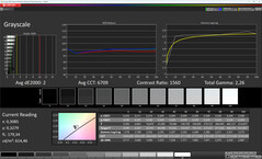Grayscale (color mode: Natural, color temperature: Standard, target color space: sRGB)