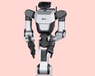 The Rainbow Robotics RB-Y1 humanoid robot