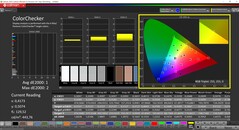 Calman ColorChecker (Profile: sRGB, Target color space: sRGB)