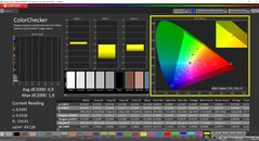 CalMAN ColorChecker (profile: P3, target color space: P3)