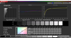 CalMAN Grayscale (profile: P3, target color space: P3)