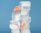 An image showing two columns of stacked ice cubes