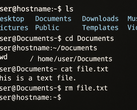Linux from Scrach 12.4 keeps the CLI alive but offers paths for a fully-featured self-built distro (Image source: Generated using OpenAI)