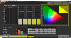 CalMAN Saturation Sweeps (profile: AdobeRGB, target color space: AdobeRGB)