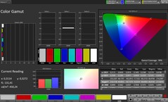 CalMAN Color Space – Outdoor Display
