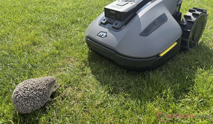 Mammotion's Yuka Mini is a very good lawn mower for small gardens (Image source: Notebookcheck)