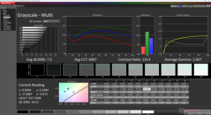 Grayscale before calibration