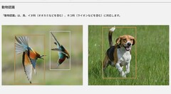 These two photos, among others on the Lumix S9 product page, started the controversy (Image source: Panasonic)