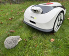 RoboUp Raccoon 2 SE review