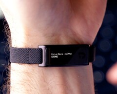 The Jaye Band is currently being funded on Kickstarter.