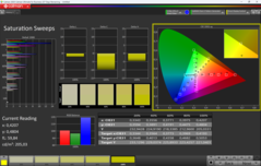 CalMAN Saturation calibrated