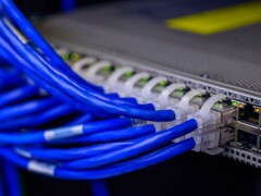 Blue network cables plugged into the ports of a switch in a data center
