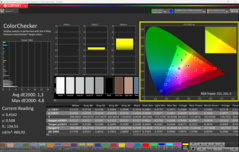 CalMAN ColorChecker (sRGB)