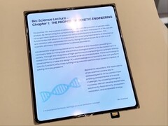 Samsung's crease-less foldable display allegedly for the upcoming Galaxy Z Fold 8. (Image source: Max Jambor on X)