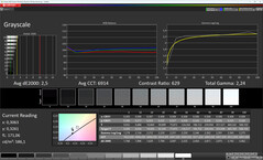 Grayscale (Color Profile: Standard, Target Color Space: sRGB)