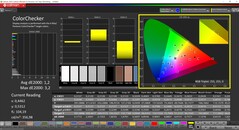 CalMAN ColorChecker (Profile: P3, Target Color Space: P3)