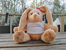 Honor Magic7 Pro: Sample photo