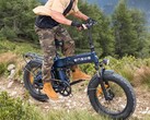 Engine Pro 3.0 Boost: A foldable e-bike that is also suitable for off-road use. (Image source: Engwe)