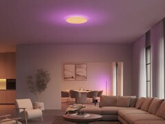 The Philips Hue Datura ceiling light has dual light sources. (Image source: Philips Hue)