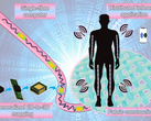 A single fiber computer integrating transistors, diodes, resistors, capacitors, and LEDs into a flexible, washable strand (Image source : Nano-Micro Letters)