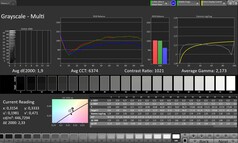 CalMAN Grayscale – Internal Display