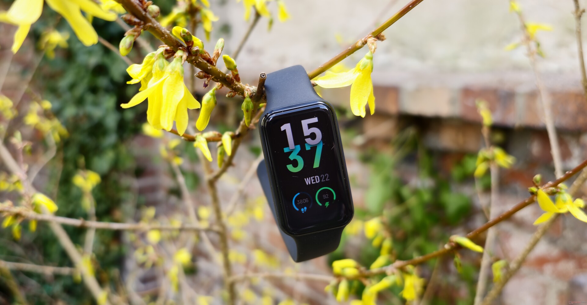 Amazfit Band 5 review: A budget fitness tracker with an Alexa bonus -  Wareable