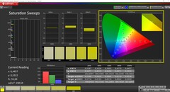 CalMAN Saturation (Profile: P3, Target Color Space: P3)
