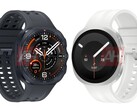A new specs leak for both the Samsung's Galaxy Watch9 and the Galaxy Watch Ultra 2.