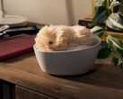Casio's Moflin robot pet can develop a unique personality based on its interactions with its owner. (Image source: Casio)