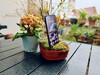 Motorola Moto G67 in review